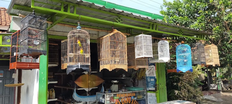 Suara Burung Menghiasi Jalan-jalan Cilacap